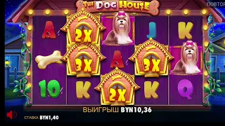 #betera #doghouse  может когда хочет