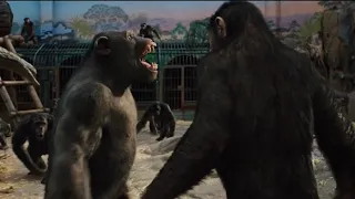 Rise of the Planet of the Apes (2011) - Rocket Bullies and Fights Caesar Movie Clip [HD]