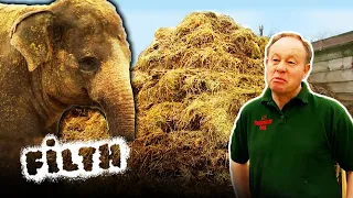 A Day In The Life of a Zoo Keeper | Filth