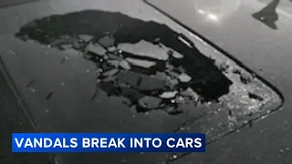 More than 30 cars vandalized at Ford Plant on Far South Side