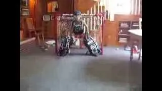 the best 10 year old hockey goalie