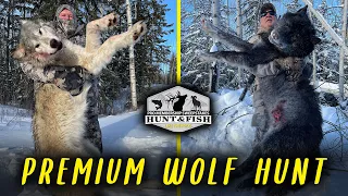 Pro Membership Sweepstakes Drawing for Premium Wolf Hunt