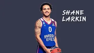 Shane Larkin ile Seyahat Quizi