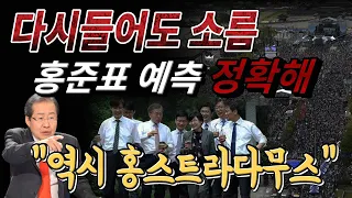 홍준표 예측 정확해, 다시 들어도 소름 "역시 홍스트라다무스"