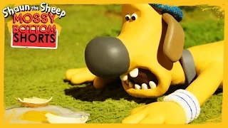 Bitzer Over Easy - Shaun the Sheep [Full Episode]