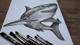 How to Draw a Realistic Shark Step by Step | Shark Swimming Sketch | Pencil Drawing Tutorial