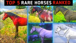 Top 5 Rare Horses With Location & Taming - RDR2