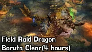 [TOS Re] Field Raid Dragon Boruta Clear(4 hours)