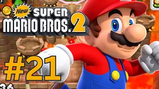 NEW! Super Mario Bros 2 3DS! WALKTHROUGH: Part 21: COLLECTING COINS (5)