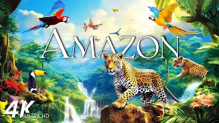 FLYING OVER AMAZON (4K Video UHD) - Calming Music With Beautiful Nature Videos For Relaxation