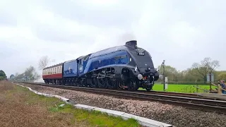 LNER A4 60007 'Sir Nigel Gresley' passing East Goscote working Crewe HS to Orton Mere 5/4/2023