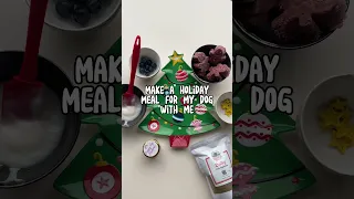 A Christmas Dog Meal as CUTE as it Is DELICIOUS and NUTRITIOUS