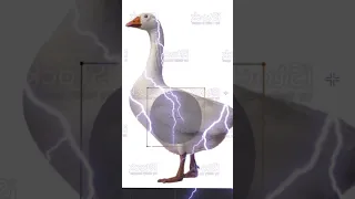 Гусь в #blender #animation #memes #games #goose  #3d