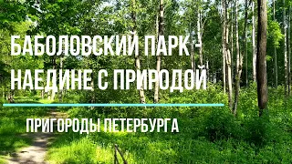 Баболовский парк - один из 5 парков г.Пушкин (Царское Село), июнь 2021 | пригороды Питера