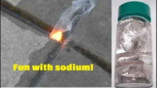 Sodium metal reacting with water | Alkali metal experiments (part 1)