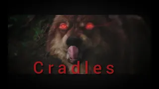 Twilight Wolves "Cradles"