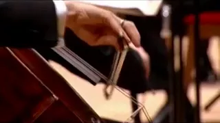 Gautier Capuçon & Valery Gergiev / Tchaikovsky Rococo Variations - Prokofiev Sinfonia Concertante