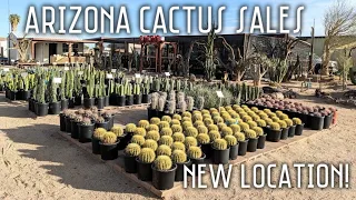 Arizona Cactus Sales | New nursery location tour!