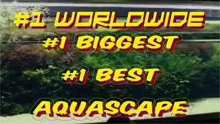 Biggest Aquascape in the World