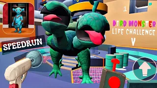 Bird Monster Life Challenge 5 speedrun full gameplay