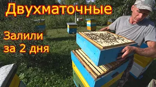 ДВУХМАТОЧНЫЕ! ЗАЛИЛИ за 2 ДНЯ! Срочное РАСШИРЕНИЕ!