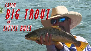 Fly Fishing Montana Rivers-  Huge Trout on The Beaverhead