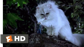 Stuart Little (1999) - You Saved Me? Scene (9/10) | Movieclips