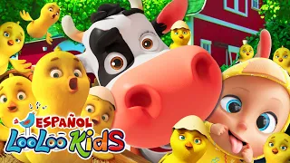 🐤🐥Los Pollitos Dicen Pio Pio - Canciones Infantiles LooLoo Kids - Canciones Divertidas para niños