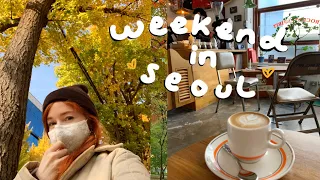 the election, hospitals, and autumn | weekend in my life in seoul, korea VLOG