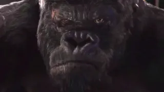 Kong em Nova Iorque Parte 2- King Kong (2005)