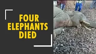 Four elephants die after being hit by a goods train