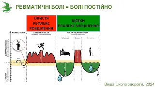 Здорові кістки та кісткова система - опора вашого організму! Марафон Життя лікаря Василя Чайки