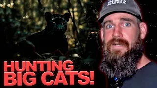 Hunting Big Cats in the Australian Outback