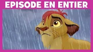 Moment Magique Disney Junior - La Garde du Roi Lion : Les babouins