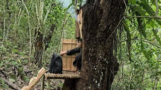 Build a complete shelter in a tree hole, Survive alone in the forest, Bushcraft