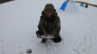 ЗИМНЯЯ РЫБАЛКА НА ВТВ / 3 ДЕНЬ / WINTER FISHING ON VTB / 3 DAY