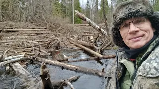 Поход на лодке по таёжной реке. Эти завалы меня замучали. Поставил фотоловушки на тропах 2 серия.