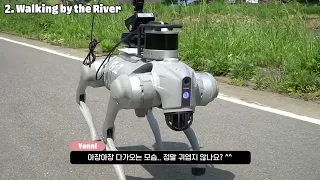 [Full Version] Taking the Unitree Go2 for an Outdoor Walk | 팀그릿