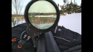 свд/тигр стрельба на 800 м и 1 км svd / tiger shooting at 800 m. 1 km