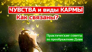 ЧУВСТВА и виды кармы.