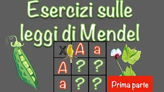 Esercizi di genetica - leggi di Mendel e quadrato di Punnett  #1