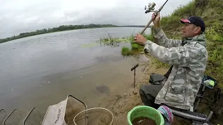 Трудовая рыбалка. Когда травы в воде больше , чем рыбы.