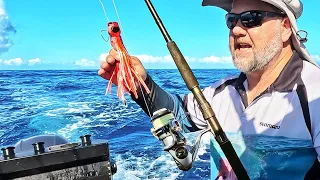 Trolling for Spanish Mackerel the HARSH Reality for BEGINNERS