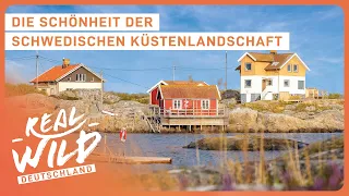 Geheimtipp: Urlaub in Südschweden | Doku | Real Wild Deutschland