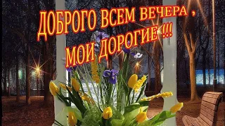 Добрый вечер! Тепла и уюта в дом!!! Прекрасного вечера!