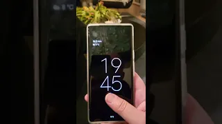 Pixel 6 Pro - fingerprint reader - Flawless.