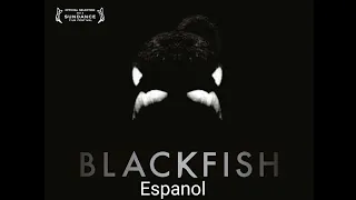 Pez Negro - Documental - Dos Mil Trece - Espanol - Blackfish - Documentary - 2013 - Spanish