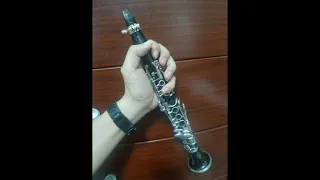 A Flat Clarinet Setup Experiment