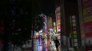 Shinjuku at night - did you see Godzilla?