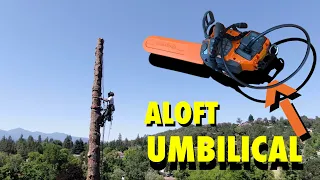 FINALLY!! a battery chainsaw WITH POWER (and lightweight)